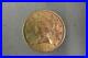 10 Dollar Eagle Liberty Head American Gold Coin 1895 Great Condition