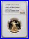 1995 W Gold Proof American Eagle $25 Coin 1/2 Oz Ngc Pf 69 Uc
