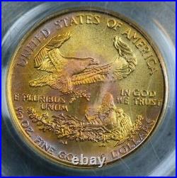 1999-W $5 American Gold Eagle Unfinished Proof Dies PCGS MS69 Error TONED Color
