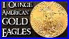 1 Ounce American Gold Eagle Coins Good For Gold Investing