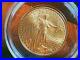 2002 1/2 Troy Oz AMERICAN EAGLE Gold Coin (BU)