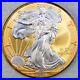 2010 American Silver Eagle 1oz SILVER Coin with 24K GOLD GILDED BU UNCIRCULATED