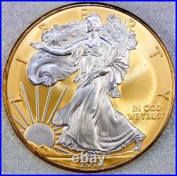 2010 American Silver Eagle 1oz SILVER Coin with 24K GOLD GILDED BU UNCIRCULATED