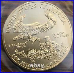 2014 $50 1 Ounce American Gold Eagle BU PERFECT PIECE #4