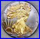2015 American Silver Eagle 1oz SILVER Coin with 24K GOLD GILDED BU UNCIRCULATED
