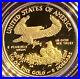 2018-W American Eagle One-Tenth Ounce Gold $5 Proof Coin with COA in OGP