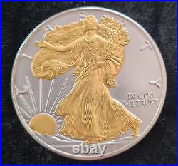 2019 American. 999 Silver Eagle 1 oz Coin SELECT 24KT GOLD Gilded 2-Sided withCoa