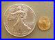 2020 1 oz American Silver Eagle & 1/10 oz American Gold Eagle Bullion Coin Lot
