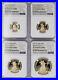 2021 W 1.85 Oz Gold American Eagle 4 Coin Proof Set NGC PF70 UC Type 2 Inaugural