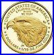 2021-W $5 AMERICAN EAGLE Type 2 PCGS PR69DCAM Gold Shield 1/10 Oz Gold Coin