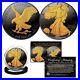 2022 BLACK RUTHENIUM 1 Oz 999 Silver American Eagle Coin 24K Gold Gilded TYPE 2