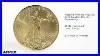 Apmex Gold Coins 2015 1 Oz Gold American Eagle Coin Video