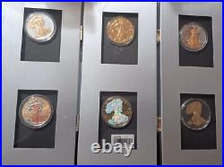 Big Collection American Eagle 1oz SILVER 24K GOLD GILDED UNCIRCULATED 6 Coins