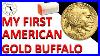 My First American Gold Buffalo 1 Oz Gold Coin